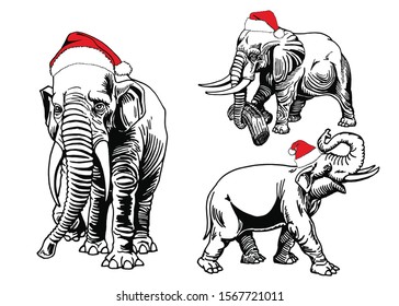 Graphical set of elephants in Santa Claus hat isolated on white background,vector illustration