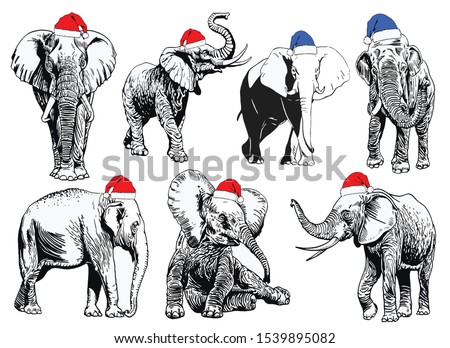 Graphical set of elephants in Santa Claus hats isolated on white background,vector new year illustration
