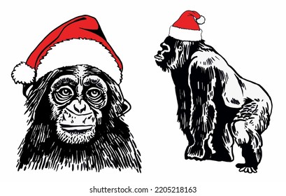 Graphical set of gorillas in Santa Claus hats isolated on white , vector heads of monkey, illustration. Christmas elements