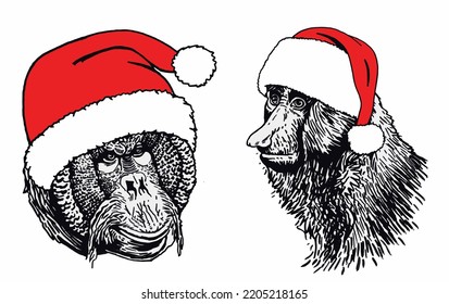 Graphical set of gorillas in Santa Claus hats isolated on white , vector heads of monkey, illustration. Christmas elements