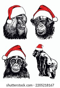 Graphical set of gorillas in Santa Claus hats isolated on white , vector heads of monkey, illustration. Christmas elements
