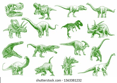 Graphical  set of green dinosaurs isolated on white background,vector illustration