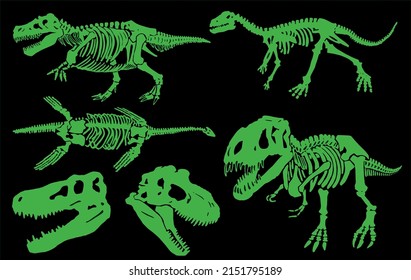 Graphical set of green skeletons and skulls of  tyrannosaurus on black background,paleontological collection,vector illustration