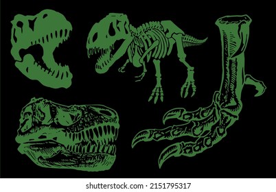 Graphical set of green skeletons and skulls of  tyrannosaurus on black background,paleontological collection,vector illustration