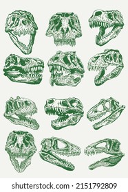 Graphical set of green skulls of  tyrannosaurus,paleontological collection,vector illustration