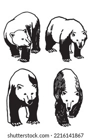 Conjunto gráfico de osos pardos aislados en fondo blanco, ilustración vectorial. Ilustración de lápiz