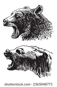 Graphical set of grizzly bears isolated on white background ,vector illustration. 