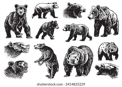 Graphical set of grizzly bears isolated on white background ,vector illustration.	