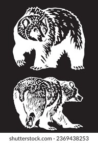 Graphical set of grizzly bears on black background ,vector engraved illustration. 