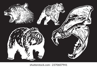 Graphical set of grizzly bears on black background ,vector illustration.	