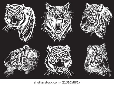 graphical set of heads of tigers isolated onblack ,vector engraved illustration,elements for tattoo ,printing ,design