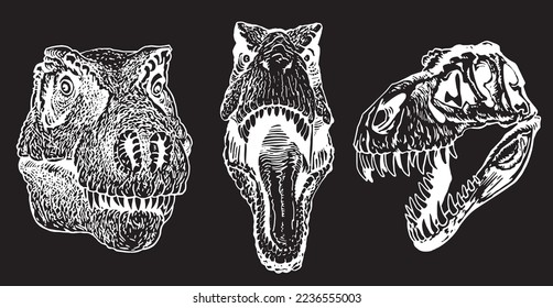 Graphical set of heads of tyrannosaurus isolated on black,vector engraved  illustration