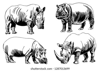 Graphical set of hippos and rhinos isolated on white background,vector sketch ,tattoo and printing illustration