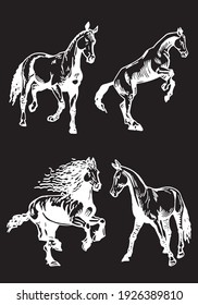 Graphical set of horses isolated on black background, engraved illustration