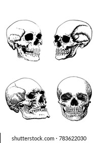  graphical set of human skulls isolated on white background, vector sketch for tattoo and printing