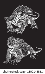 Graphical  set of iguanas on black background, vector lizard