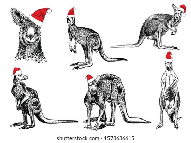 Graphical set of kangaroo isolated on white background,vector new year illustration