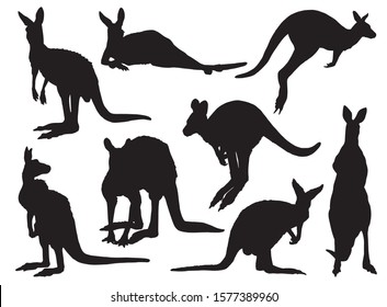 Graphical set of kangaroo isolated on white background,vector illustration 