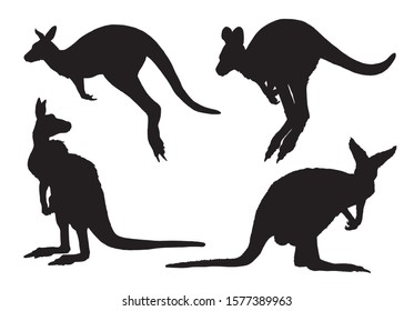 Graphical set of kangaroo isolated on white background,vector illustration 