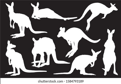 Graphical set of kangaroo silhouettes isolated on black background,vector illustration