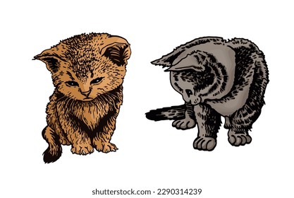 Graphical set of kittens isolated on white background, vector elements