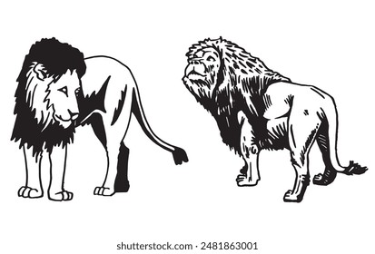 Conjunto gráfico de leones aislados sobre fondo blanco, Ilustración vectorial. animal africano