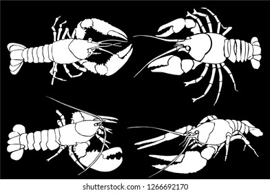 Graphical set  of lobsters isolated on black background,vector illustration 