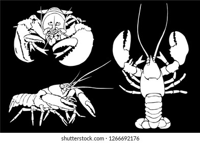 Graphical set  of lobsters isolated on black background,vector illustration 