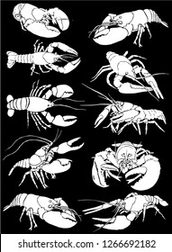 Graphical set  of lobsters isolated on black background,vector illustration 