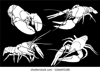 Graphical set  of lobsters isolated on black background,vector illustration 