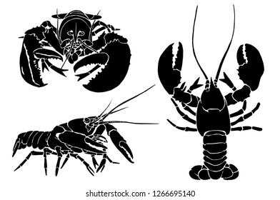 Graphical set  of lobsters isolated on white background,vector illustration ,sea-food icons