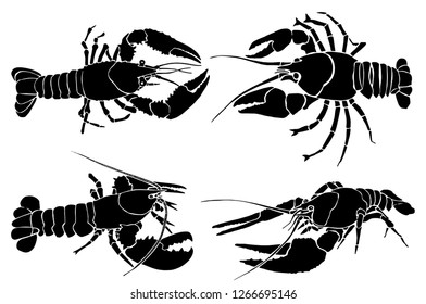 Graphical set  of lobsters isolated on white background,vector illustration ,sea-food icons