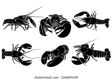 Graphical set  of lobsters isolated on white background,vector illustration ,sea-food icons