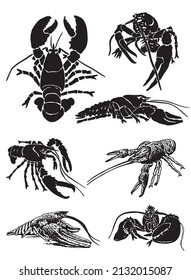 Graphical set of  lobsters, sea-food elements,vector illustration on white background