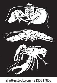 Graphical set of  lobsters, sea-food elements,vector illustration on black background