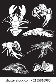 Graphical set of  lobsters, sea-food elements,vector illustration on black background