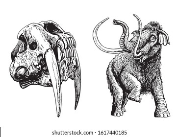 Graphical set of mammoth isolated on white background,vector illustration