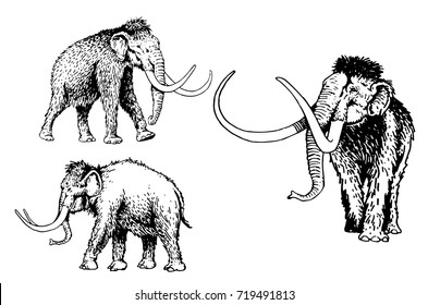 Graphical set of mammoths isolated on white background,vector