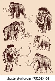 Graphical set of mammoths isolated on white background,vectorv sepia