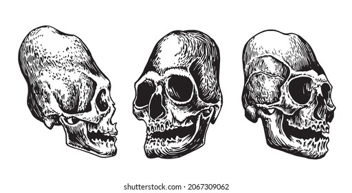 Graphical set of Mayan skulls isolated on white, long skull of ancient tribe, vector illustration, .Paleontological artifact