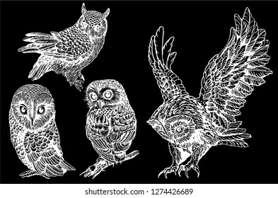 Graphical set of owls isolated on black, vector night bird,sketch