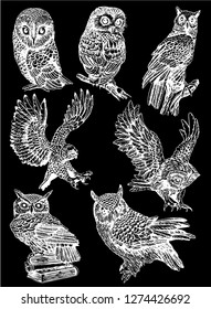 Graphical set of owls isolated on black, vector night bird,sketch