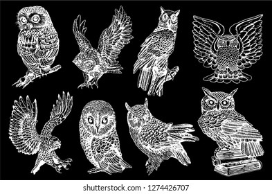 Graphical set of owls isolated on black, vector night bird,sketch