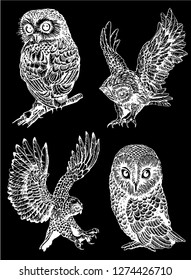Graphical set of owls isolated on black, vector night bird,sketch