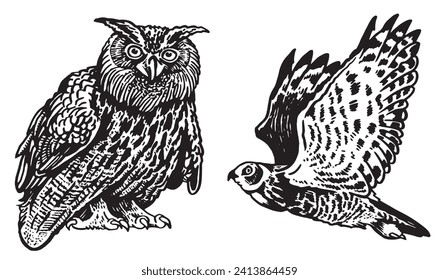 Graphical set of owls isolated on white, vector night birds	