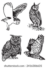 Graphical set of owls isolated on white, vector night birds