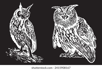 Graphical set of owls on black, vector night birds	