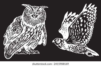 Graphical set of owls on black, vector night birds	