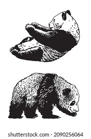 Graphical set of panda isolated on white background,vector bears