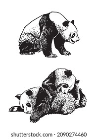 Graphical set of panda isolated on white background,vector bears